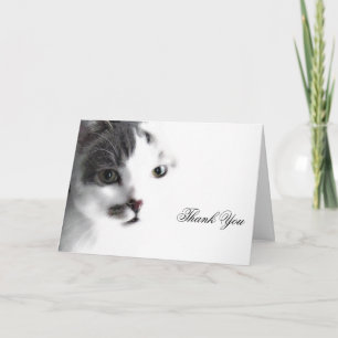 Cat Face Close-up Thank You Card