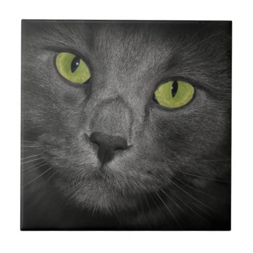 Cat face Cute gray cat head kitten merch newest  Ceramic Tile