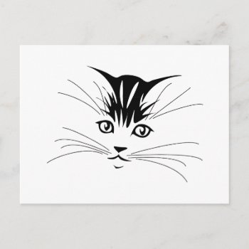 Cat Face Drawing Postcard by PetsandVets at Zazzle