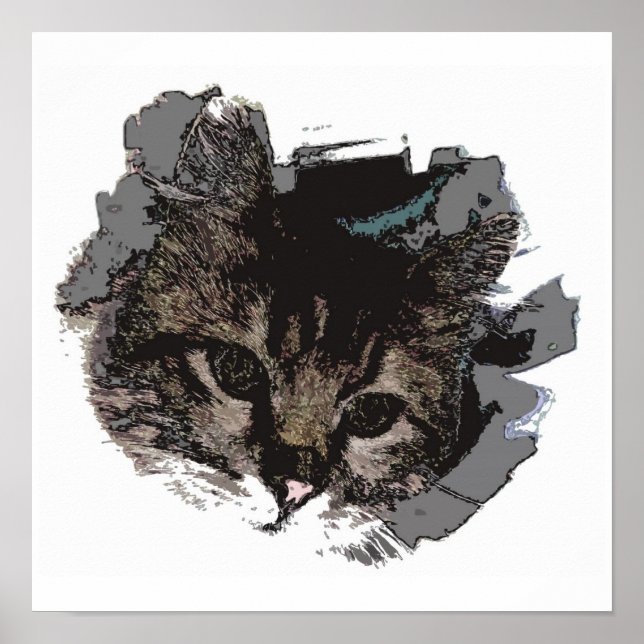 Cat Face - Eyes of Cat Poster Print - Cat Posters (Front)