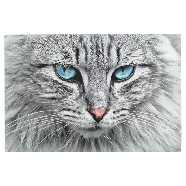 Cat Face Fractal Design-10682 Metal Print (Front)