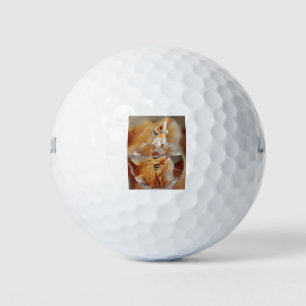 Cat Face Goldfish glass close Up view eyes Golf Balls