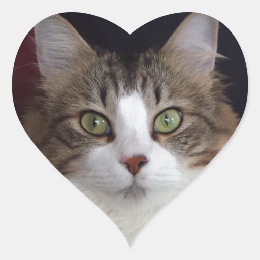 Cat Face Heart Sticker | Zazzle