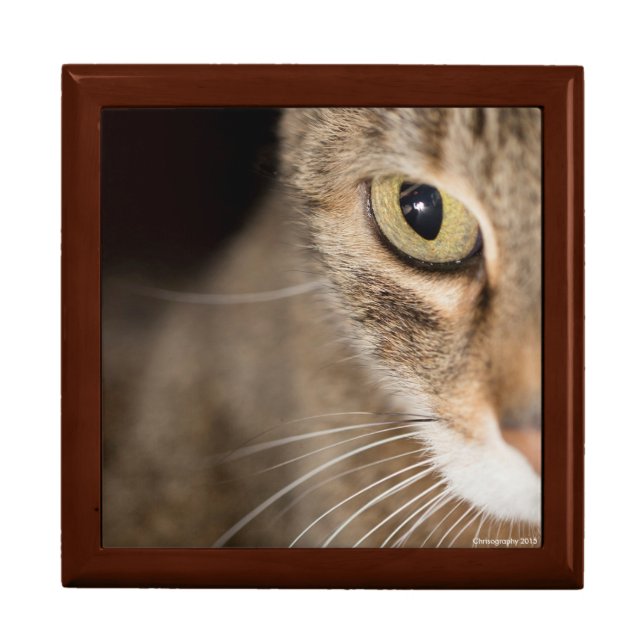 Cat Face Jewelry Box (Front)