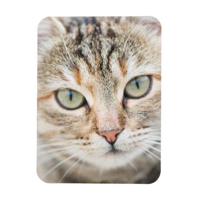 Cat face magnet (Vertical)
