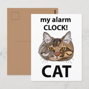 Cat Face My Alarm Clock Tabby Cat Postcard
