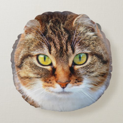 Cat face round pillow