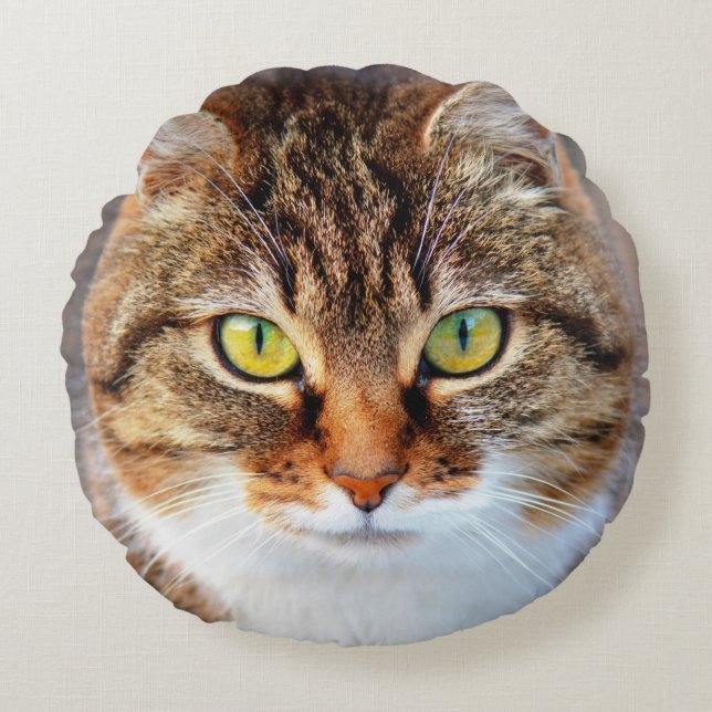 Cat face round pillow (Front)