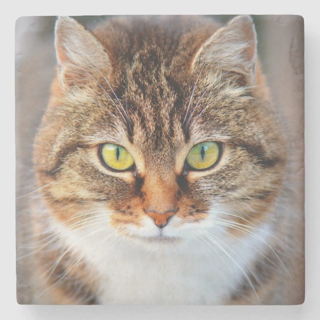 Cat face stone coaster (Front)