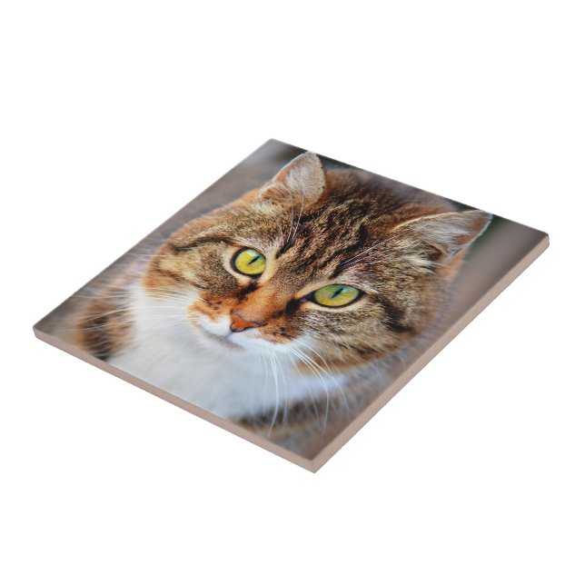 Cat face tile (Side)