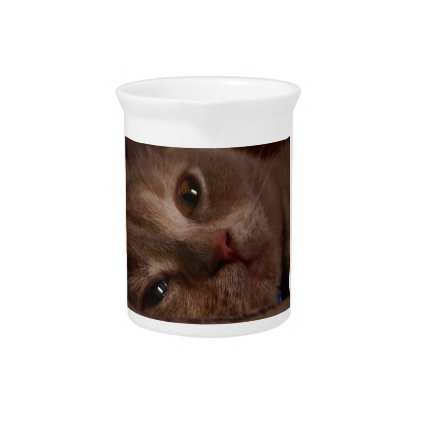 Cat - Face to Face Beverage Pitcher