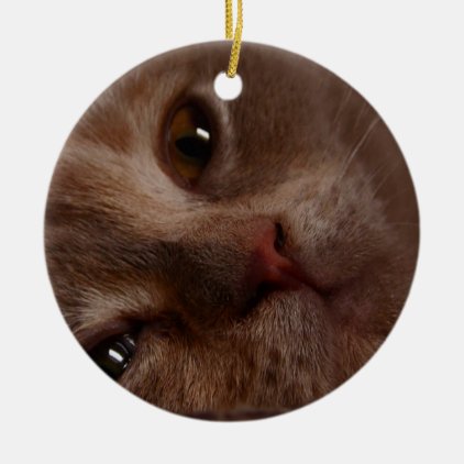 Cat - Face to Face Ceramic Ornament