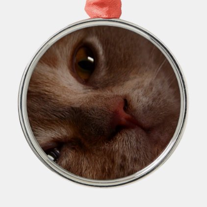 Cat - Face to Face Metal Ornament