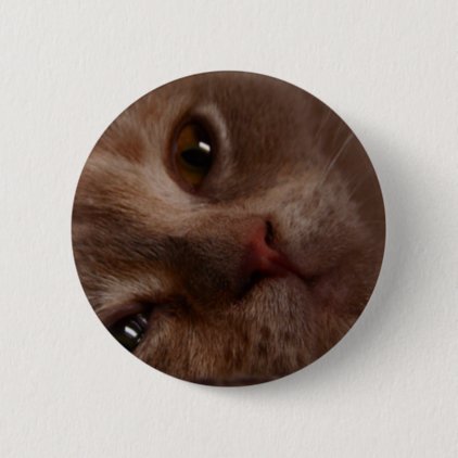 Cat - Face to Face Pinback Button