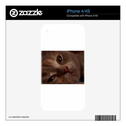 Cat - Face to Face Skin For iPhone 4S