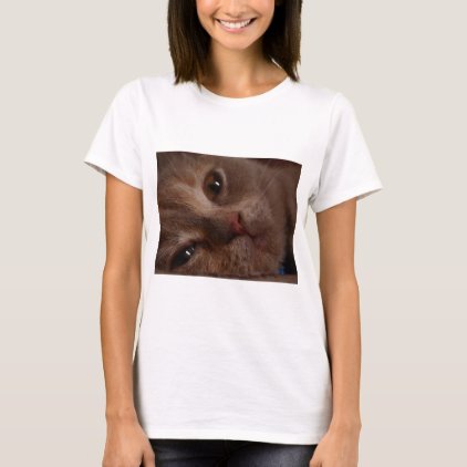 Cat - Face to Face T-Shirt