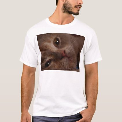 Cat - Face to Face T-Shirt