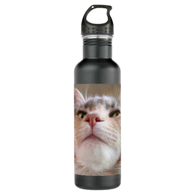Cat Face Water Bottle (Front)