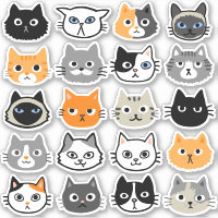 cat meme face, funny cat Sticker for Sale by jassine11