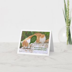 CAT FALLING ASLEEP WHILE EATING CARD