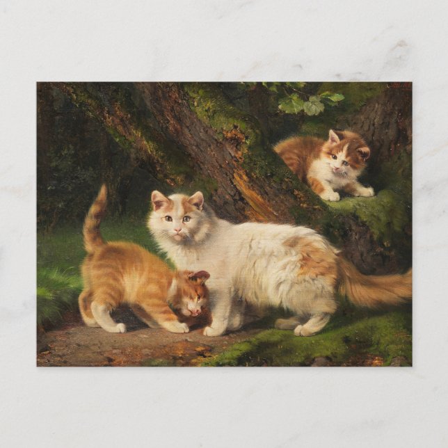 Cat Family Playing | Julius Adam the Younger Postcard (Front)