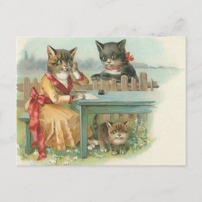cat family postcard (Front)