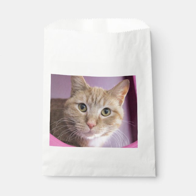 Cat Favor Bag (Front)