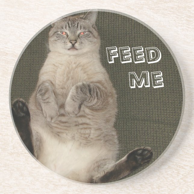Cat "FEED ME" Coaster (Front)