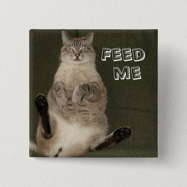 Cat "FEED ME" Square Button (Front)