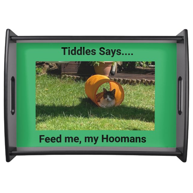 Cat Feeding Tray (Front)