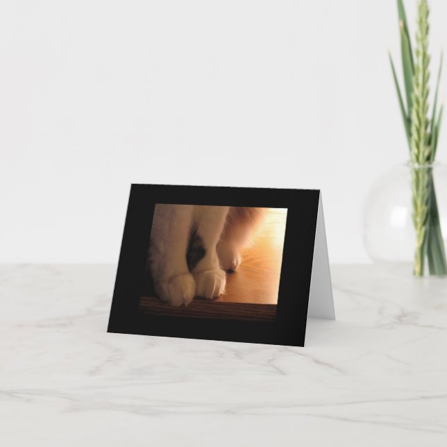 Cat feet card (Front)