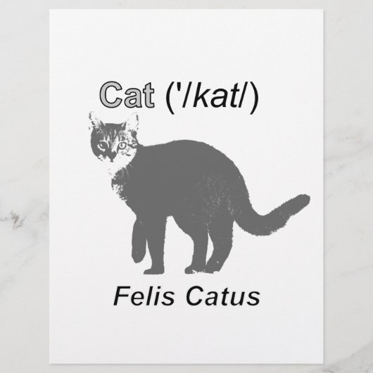 Cat Felis Catus (Front)