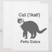 Cat Felis Catus (Front/Back)