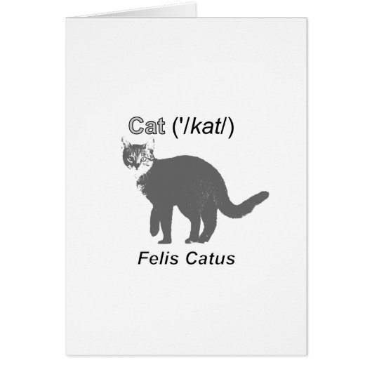 Cat Felis Catus Cards (Front)