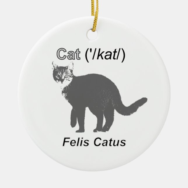 Cat Felis Catus Ceramic Ornament (Front)