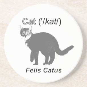 Cat Felis Catus Drink Coaster