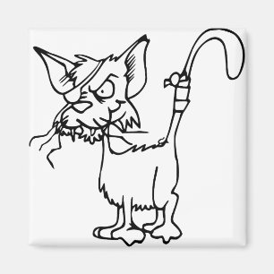 Cat Fight Injured Animal Bandage Feline Domestic Magnet
