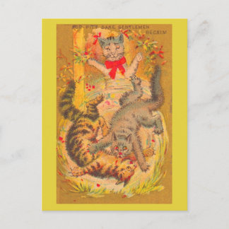 cat fight postcard