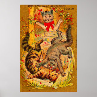 cat fight poster