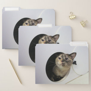 Cat File Folder