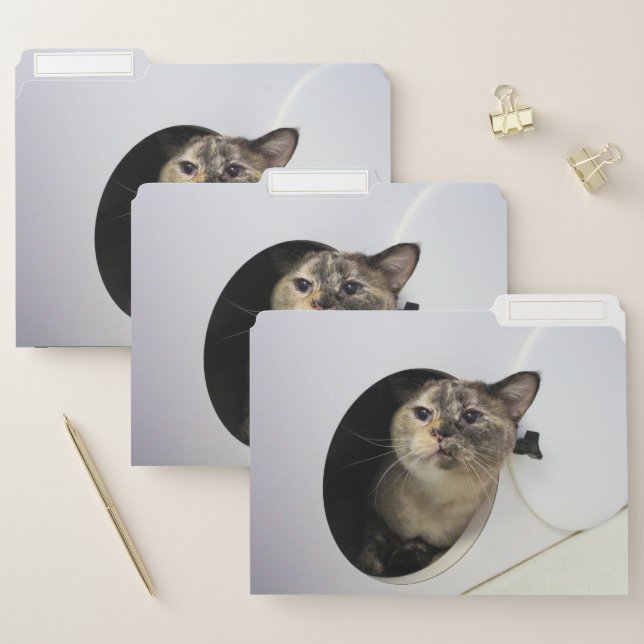 Cat File Folder (Set)