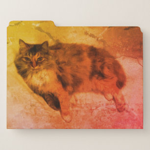 Cat File Folders