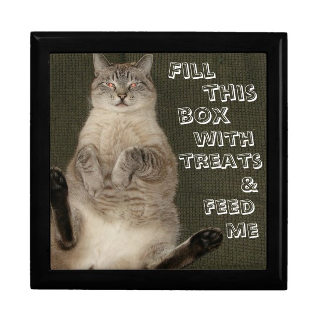 Cat "FILL BOX WITH TREATS & FEED ME" Keepsake Box (Front)