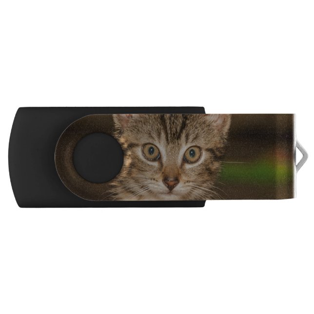 Cat Flash Drive (Front)