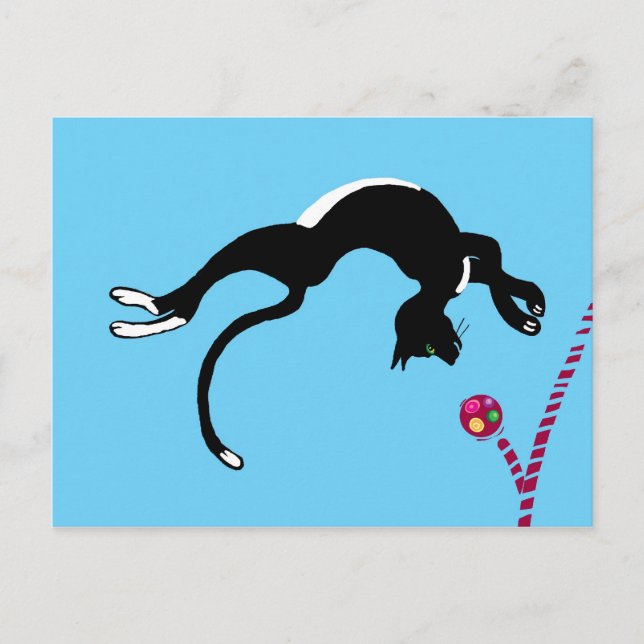 Cat flip postcard (Front)