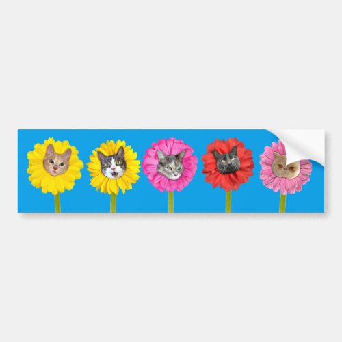 Cat Flowers Garden LOL Funny Bumper Sticker