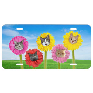 "Cat Flowers" Garden LOL Funny License Plate