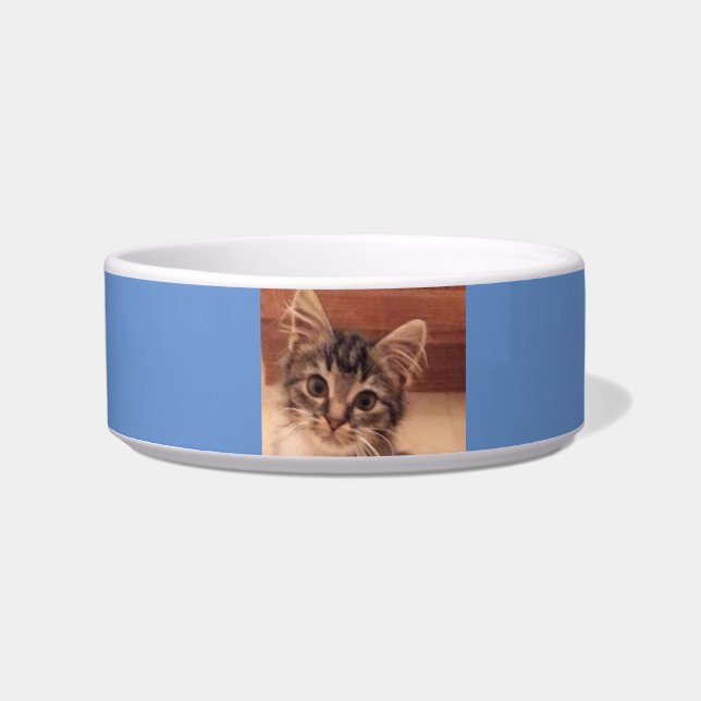 Cat Food, Water Bowl Pet Bowl (Front)