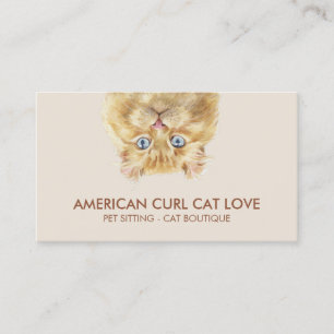 Cat Foster Network Volunteer Contact Business Card