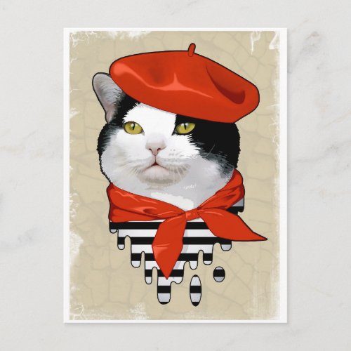 cat Frenchman Postcard